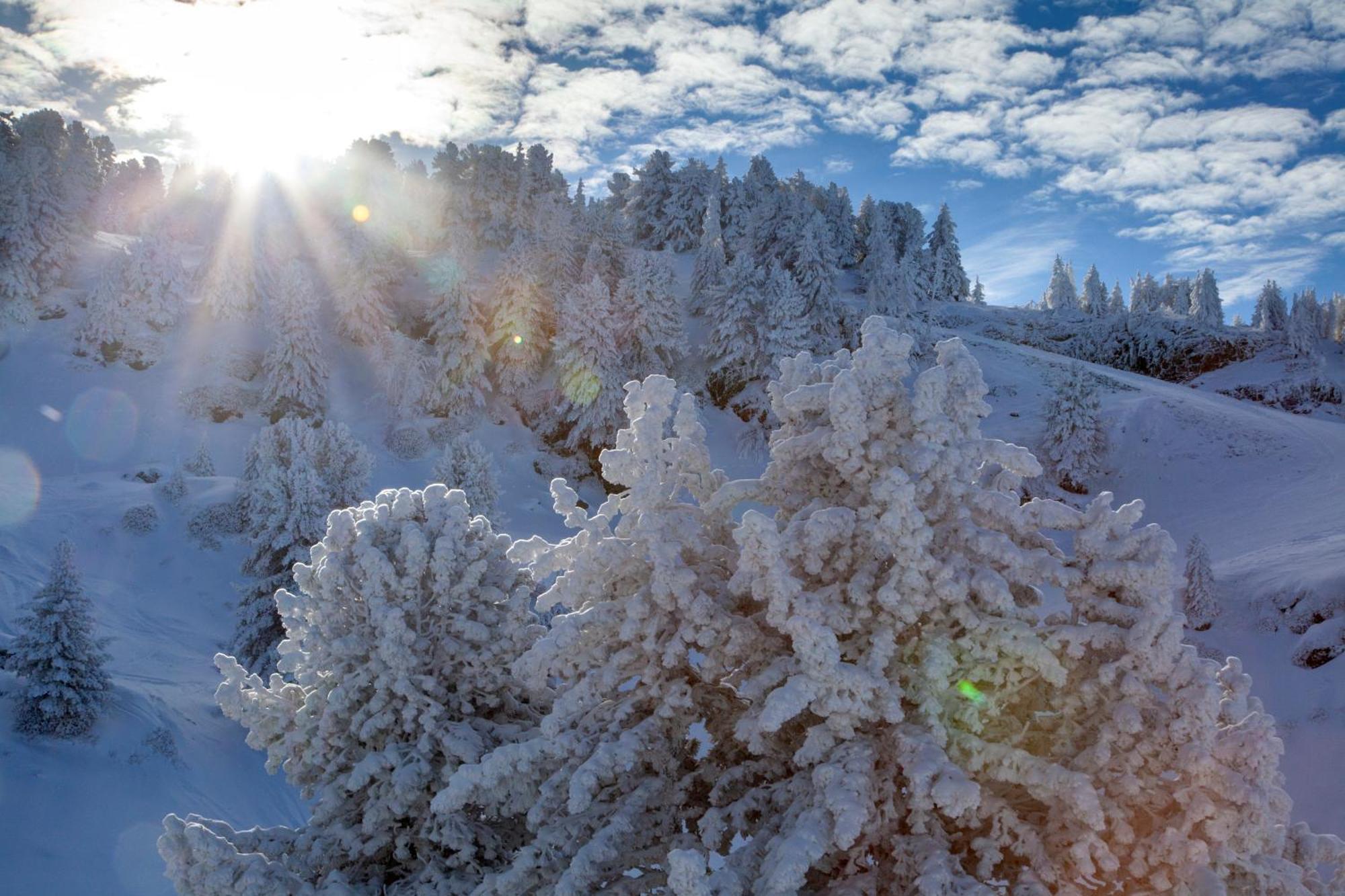 Studio, 2 Personnes, Les Balcons De Recoin Chamrousse Exteriör bild